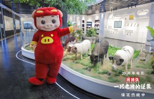 《猪猪侠》新电影今天上映，全家一起乐翻天！