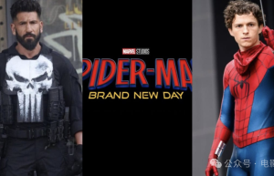 《惩罚者》里那个神秘女搭档，该不会是她吧？